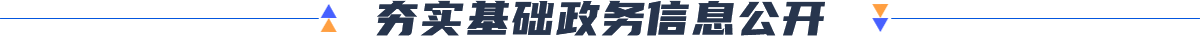 夯實基礎政務信息公開